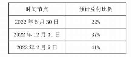 处置方案(投资者提供)