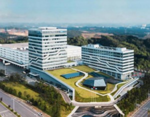 哄抬连花清瘟价格，老百姓一门店被市场监管总局“点名”，公司回应