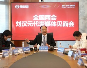 全国人大代表刘汉元：建议进一步加快我国多种储能综合建设