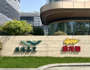 业绩持续下滑、股价长期低位，金龙鱼下一步怎么走？