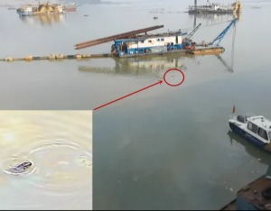 中央督察组暗访发现江豚被困油污，当地官员：它只是条大青鱼
