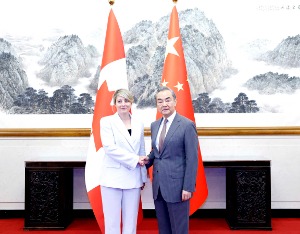 外交部长与加拿大外长乔利会谈