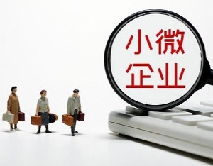 李云泽：小微企业续贷政策阶段性扩大至中型企业