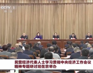 徐冠巨参加民营经济代表人士学习贯彻中央经济工作会议精神专题研讨班