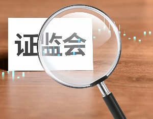 实控人掏钱“造”回款，得润电子被证监会立案，维权征集已开始