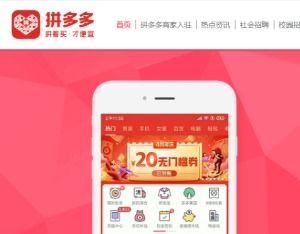 拼多多发布一季度财报，美股盘前跌幅一度超20%