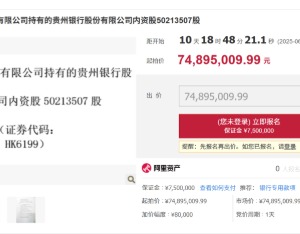 贵州银行逾5000万股股权将溢价拍卖