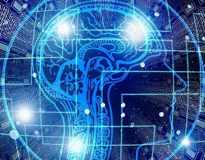 新型脑机接口系统可实时将想法转化为语言