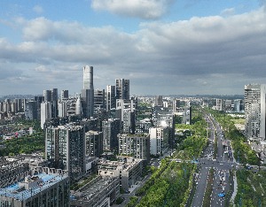杭州出台举措培育“新势力”企业 加大用地保障、算力购买等服务