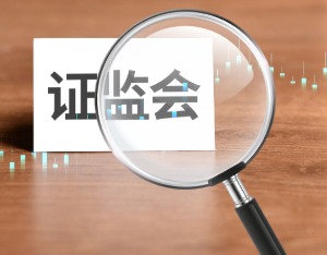 证监会：严肃查处财务造假案件 首次对配合造假方同步追责