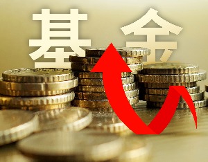 北交所基金最高半年赚82%，是小盘股的贝塔还是基金经理的阿尔法？