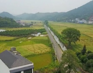 前五个月全国农村公路固定资产投资超1300亿元