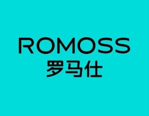 罗马仕将停工6个月，有员工懵了：“召回事件后在应援加班做客服”