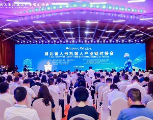 2025湖北省人形机器人产业链对接会在京成功举行