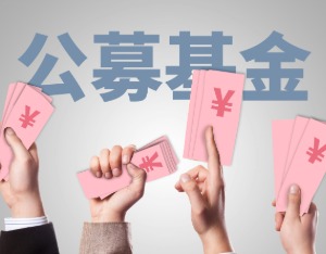 一天结募！摩根基金新发FOF卖“爆了”